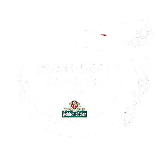 (c) Drachenboot-festival-dresden.de